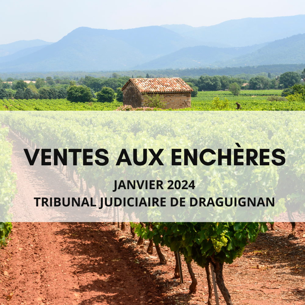 VENTES AUX ENCHÈRES JANVIER 2024