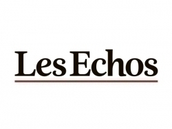 Recours à la visioconférence lors des assemblées de société anonyme - Les Echos