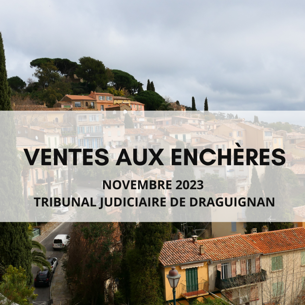 Ventes aux enchères Novembre 2023